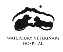Waterbury Veterinary Hospital